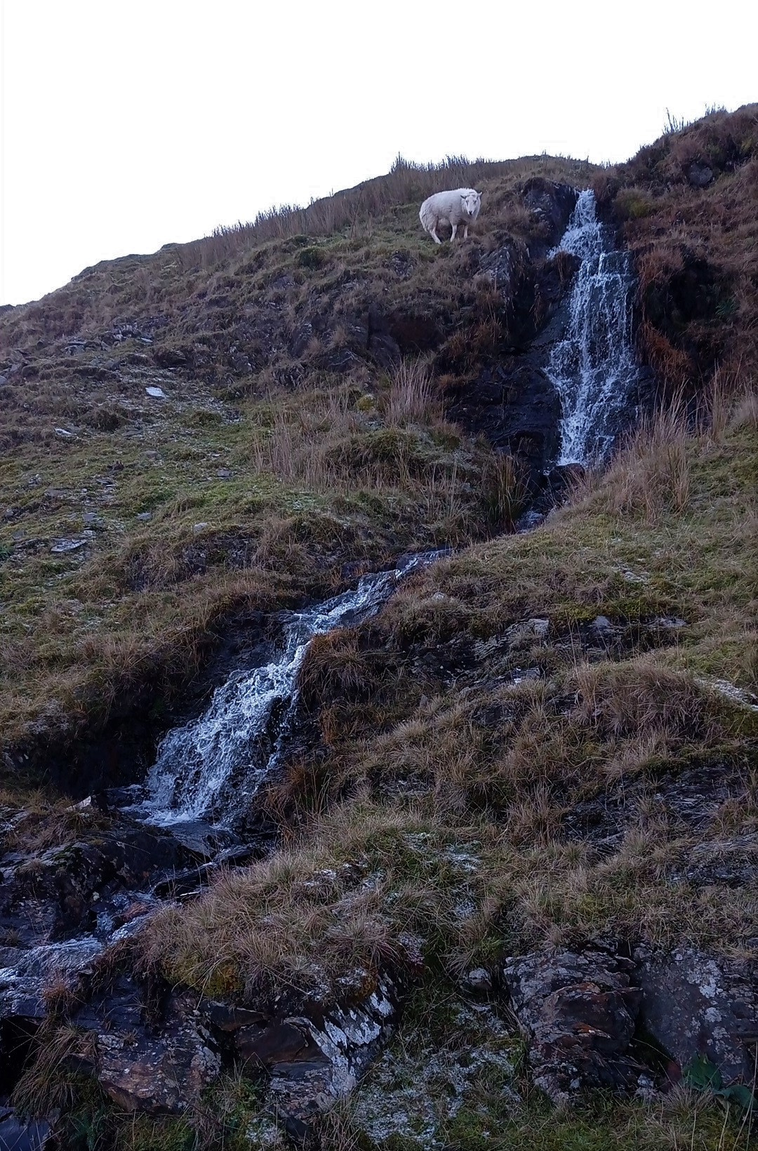 RachelSeabrook.net | Wild Walking | Y Garn & Pumlumon | pic25